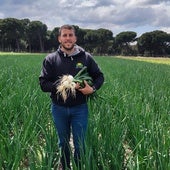 Jorge muestra las cebollas que luego se venden en el mercado central de Valladolid.