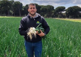 Jorge muestra las cebollas que luego se venden en el mercado central de Valladolid.