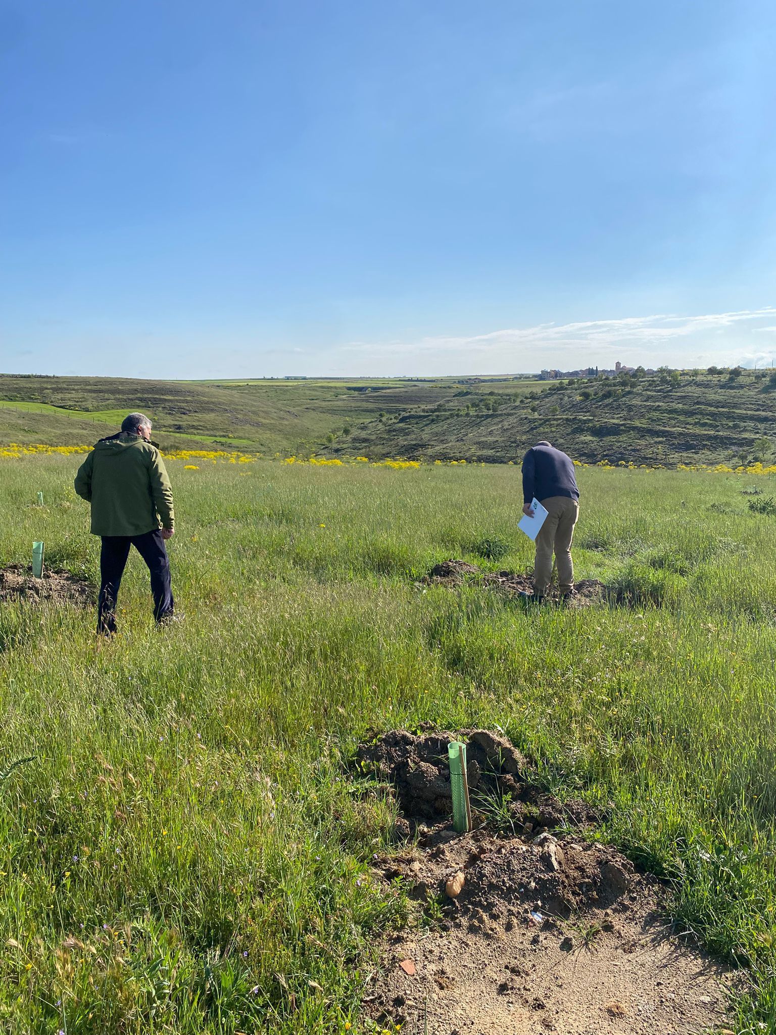Técnicos revisan la plantación.