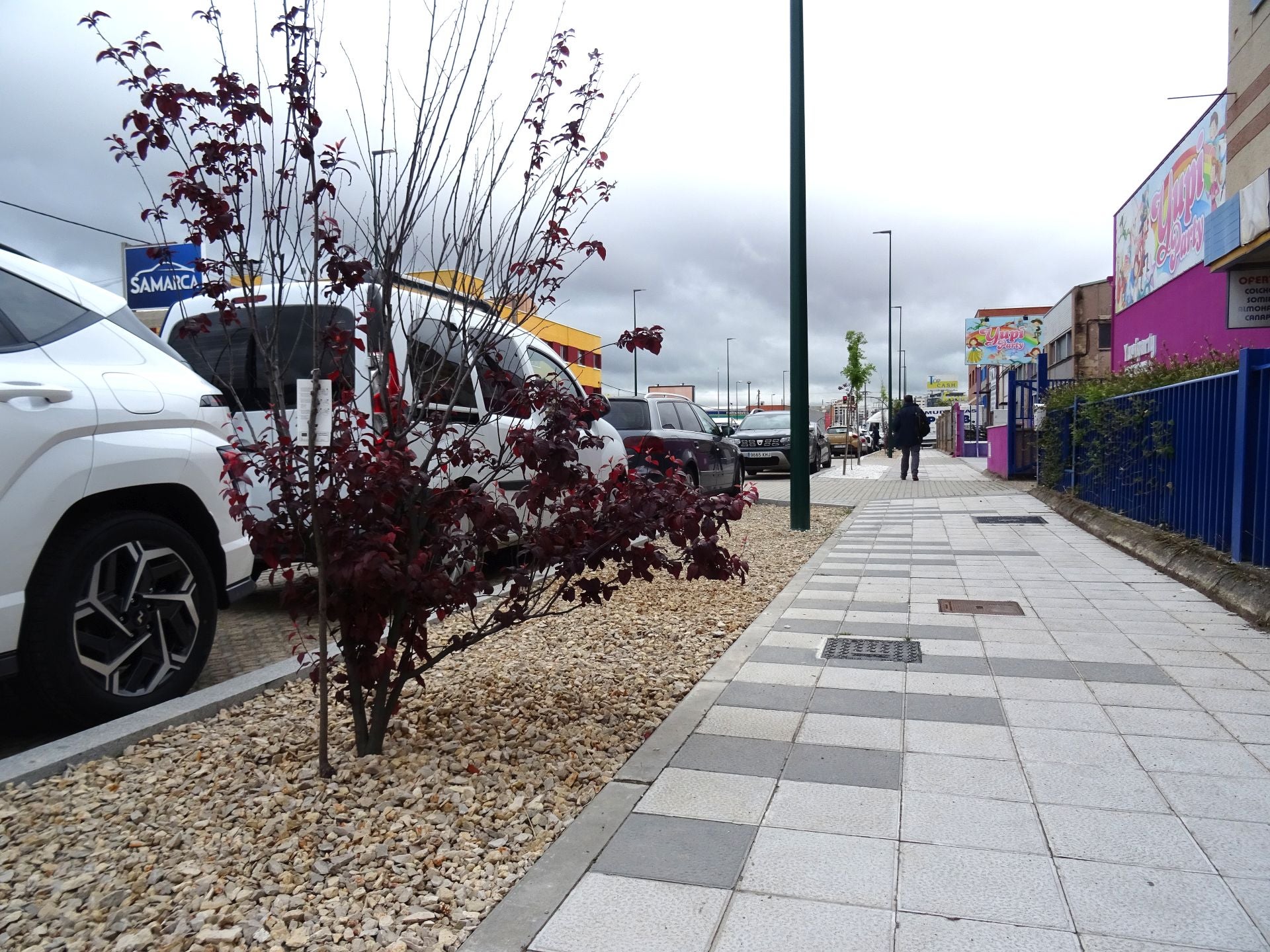 Fin de las obras en la Avenida El Norte de Castilla en el Polígono de Argales
