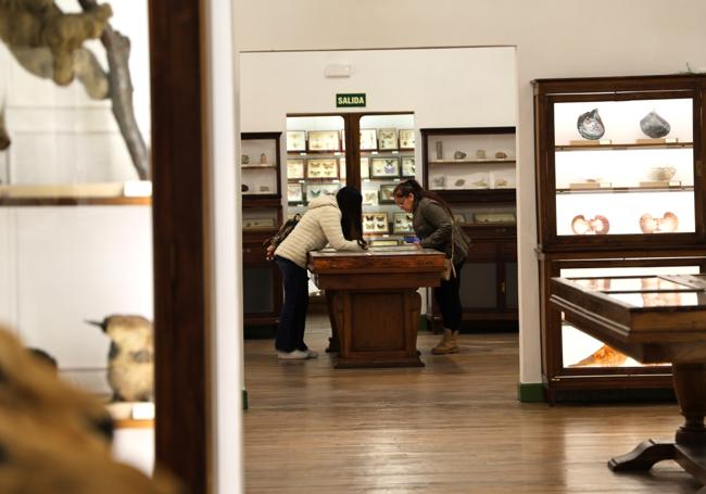 Dos visitantes del museo se detienen a observar la colección de minerales.