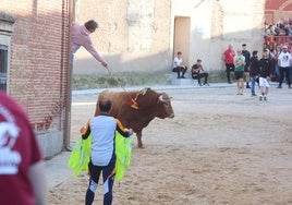 Las imágenes del encierro en Pozaldez
