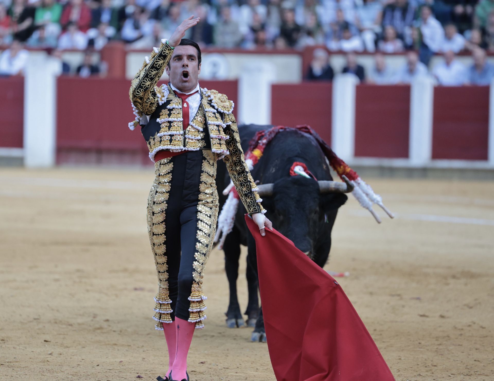 Las imágenes de la corrida de toros en Valladolid