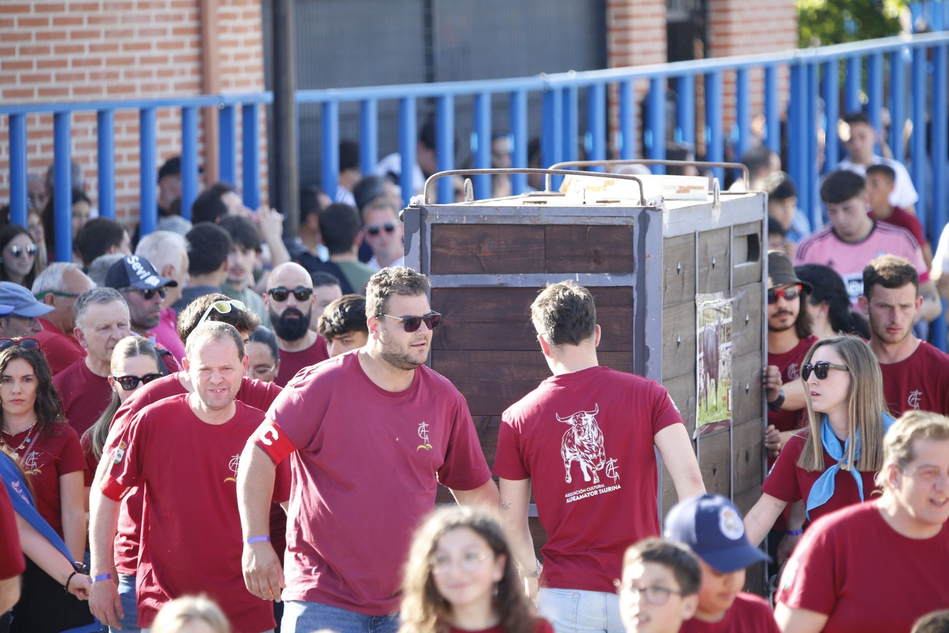 Las imágenes del toro de Villazgo en Aldeamayor