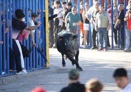 Las imágenes del toro de Villazgo en Aldeamayor