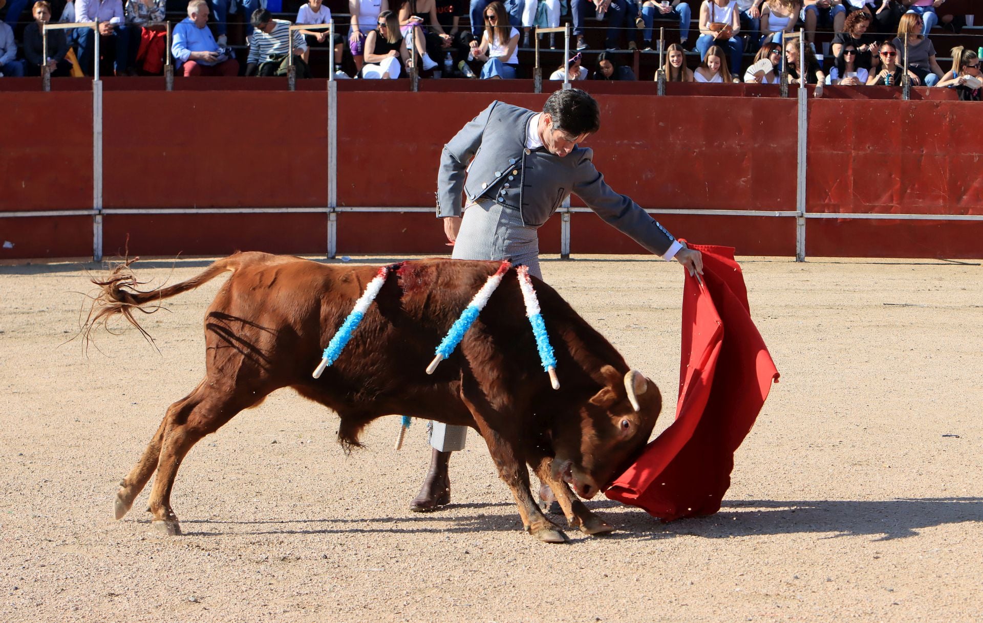 El festival taurino en La Lastrilla, en imágenes