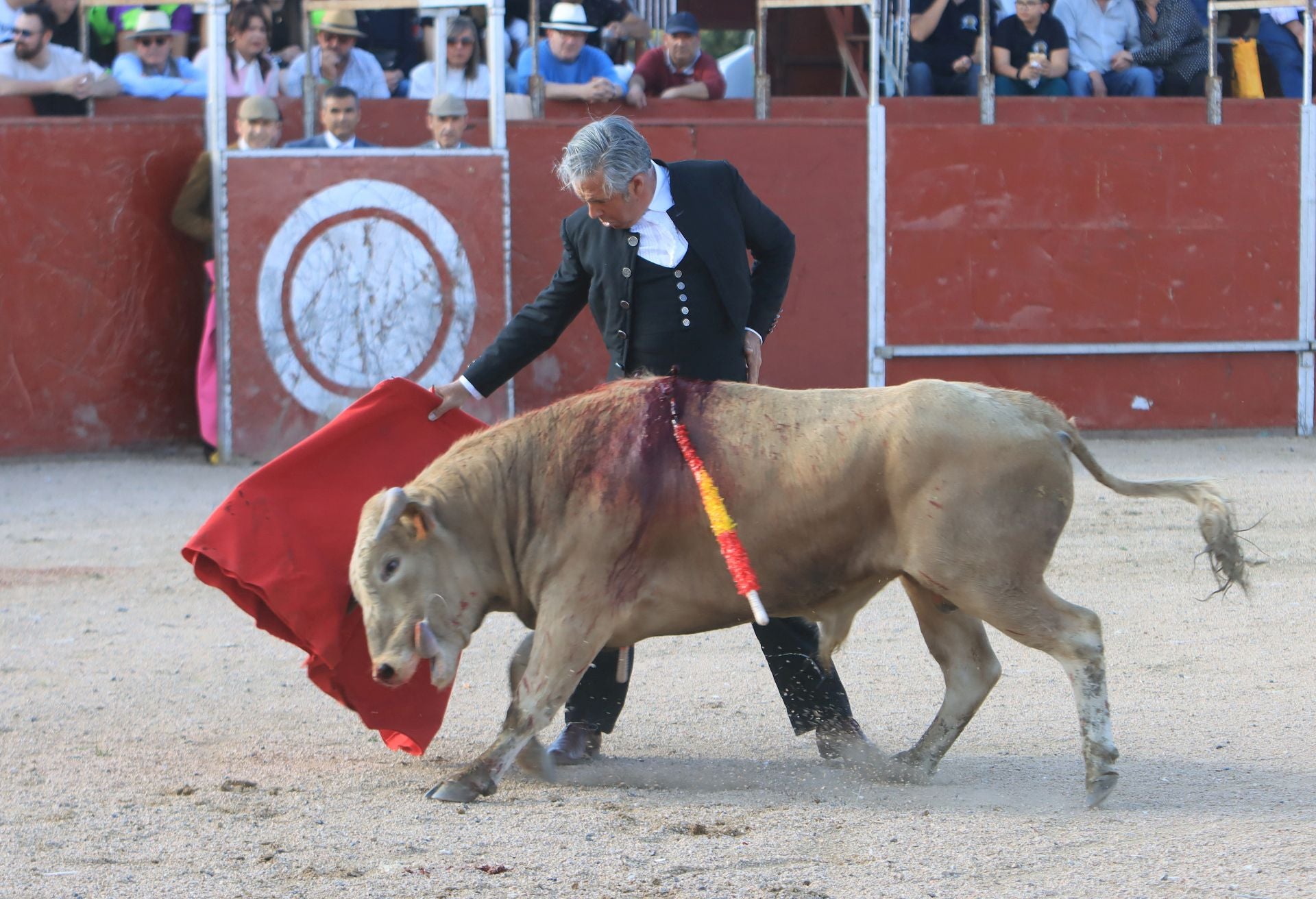 El festival taurino en La Lastrilla, en imágenes