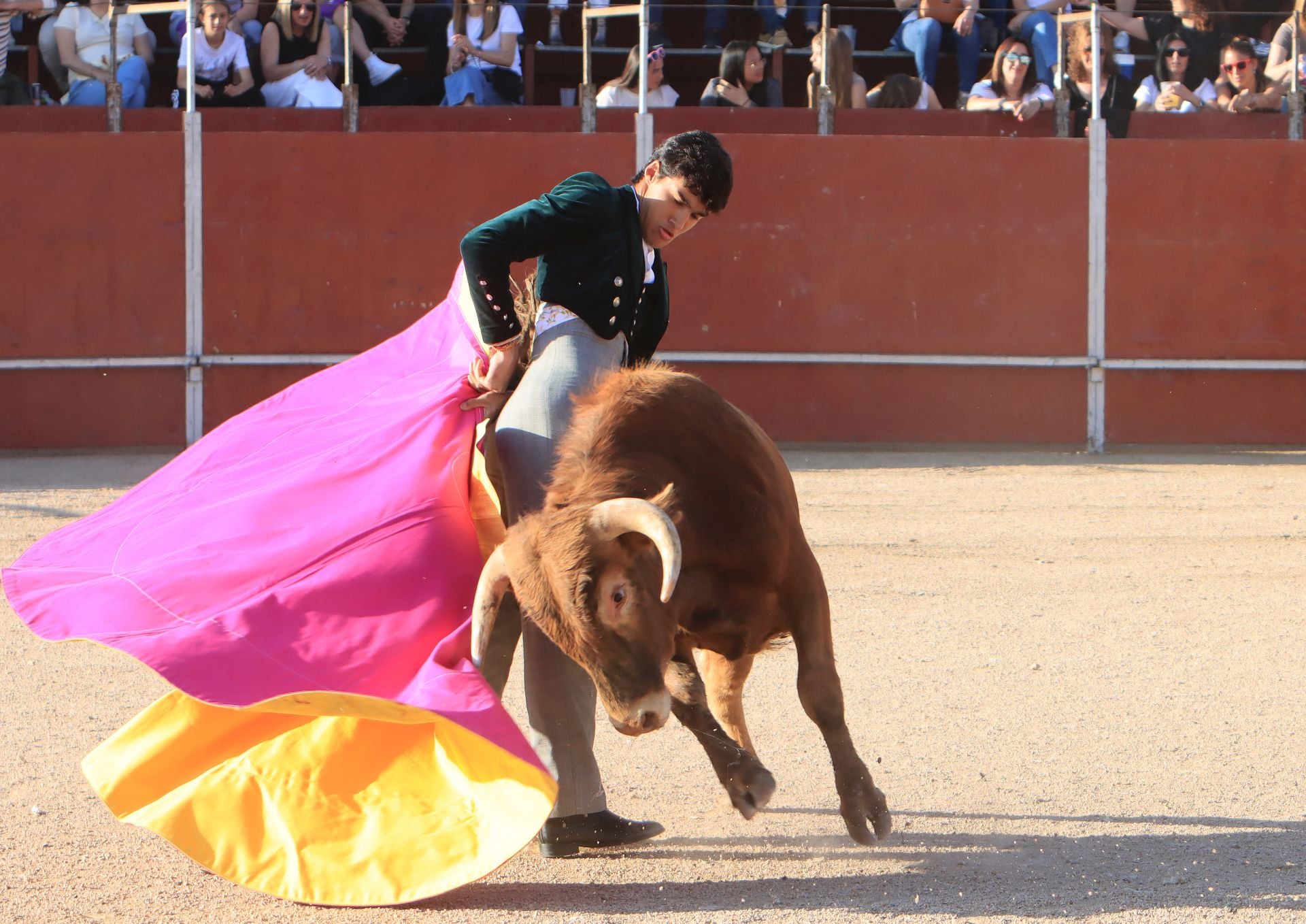 El festival taurino en La Lastrilla, en imágenes