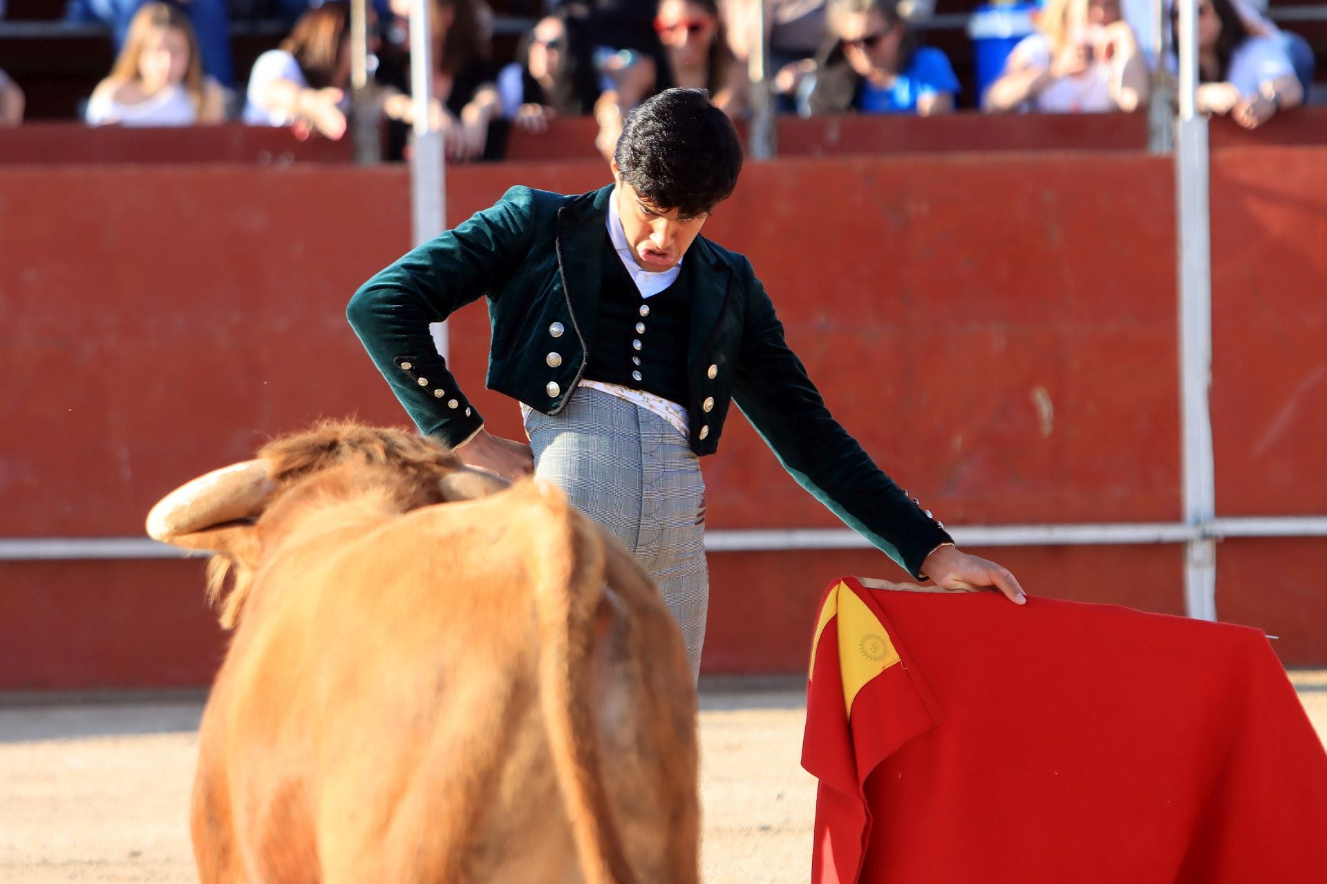 El festival taurino en La Lastrilla, en imágenes