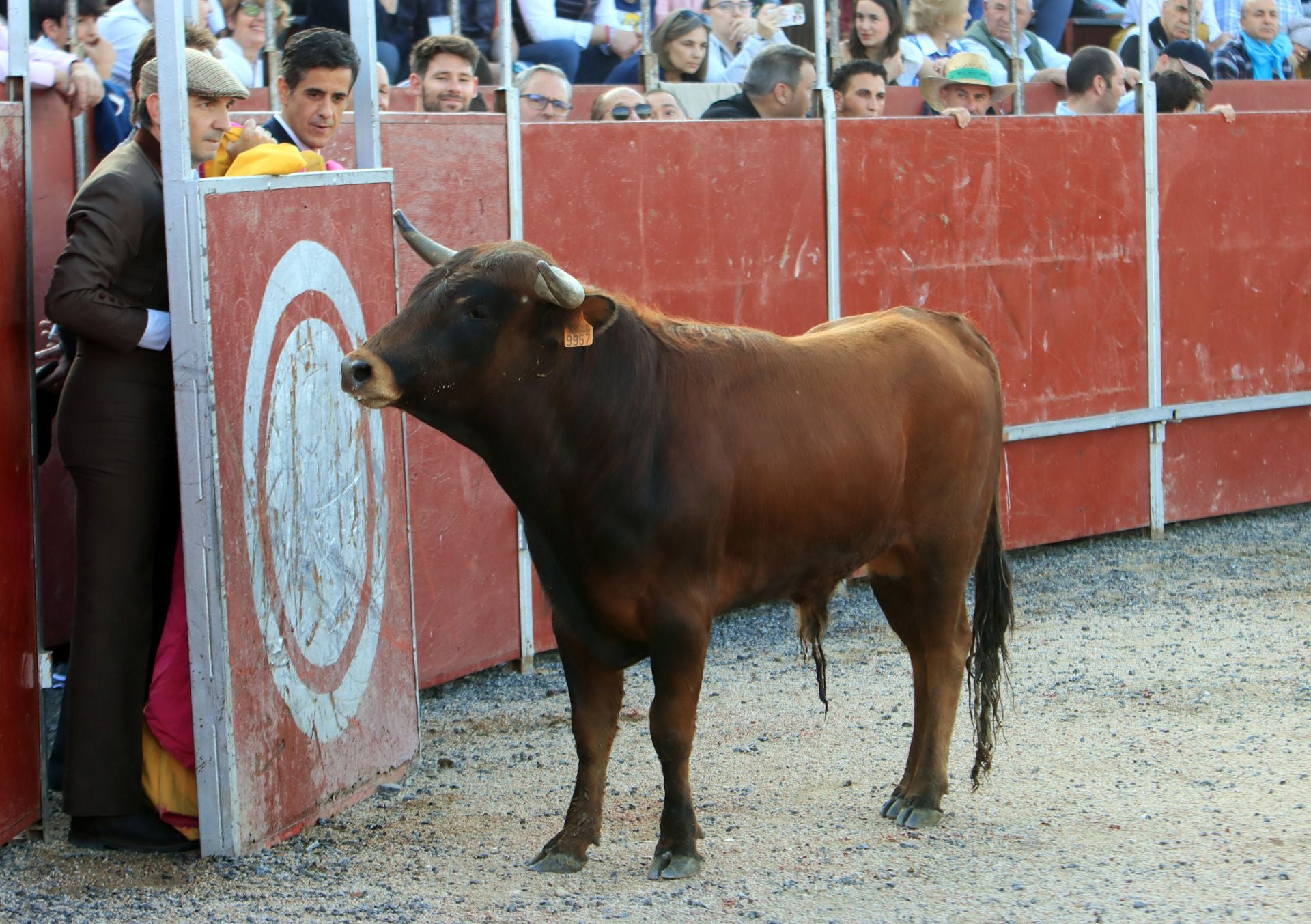 El festival taurino en La Lastrilla, en imágenes