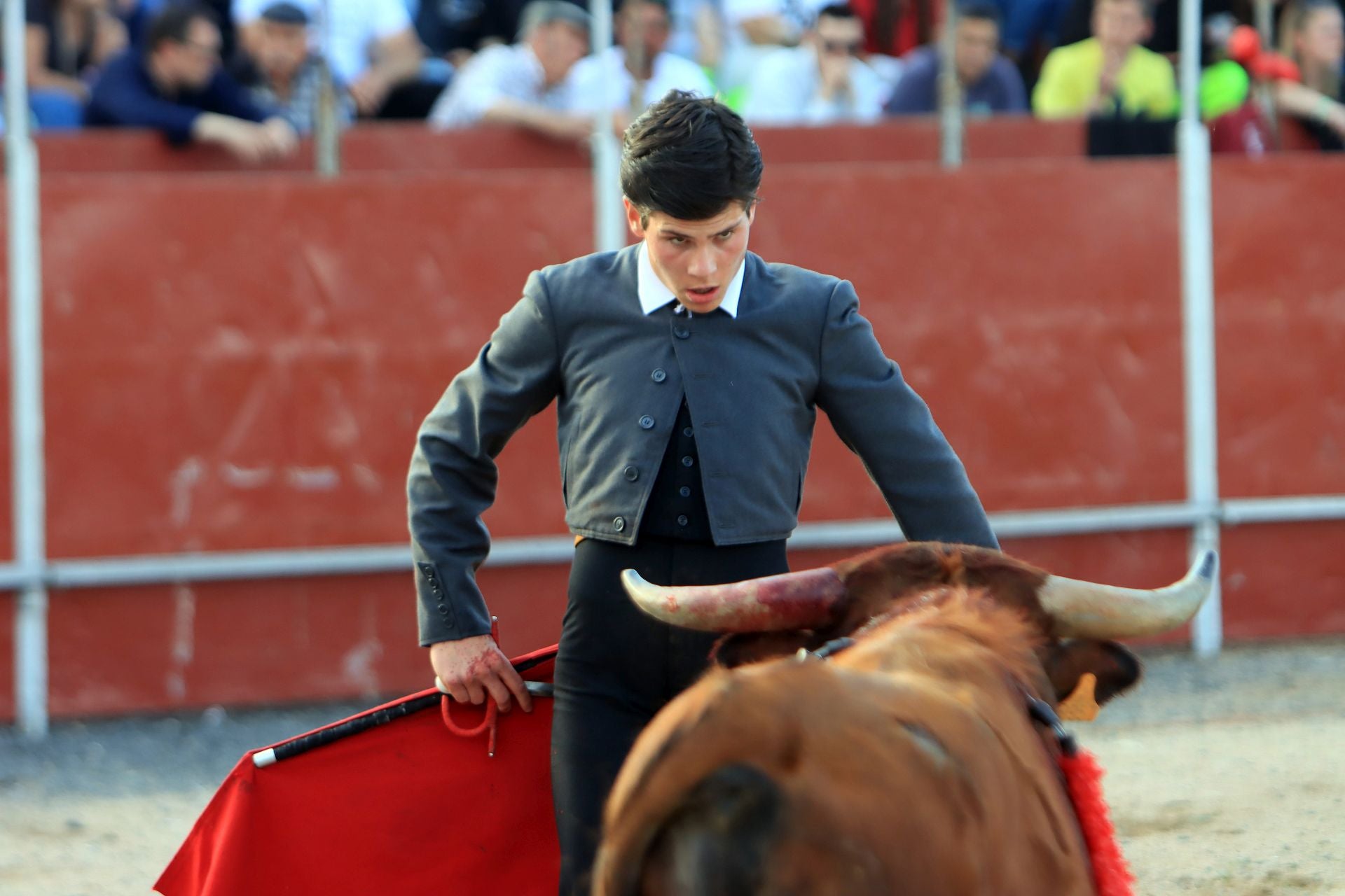El festival taurino en La Lastrilla, en imágenes