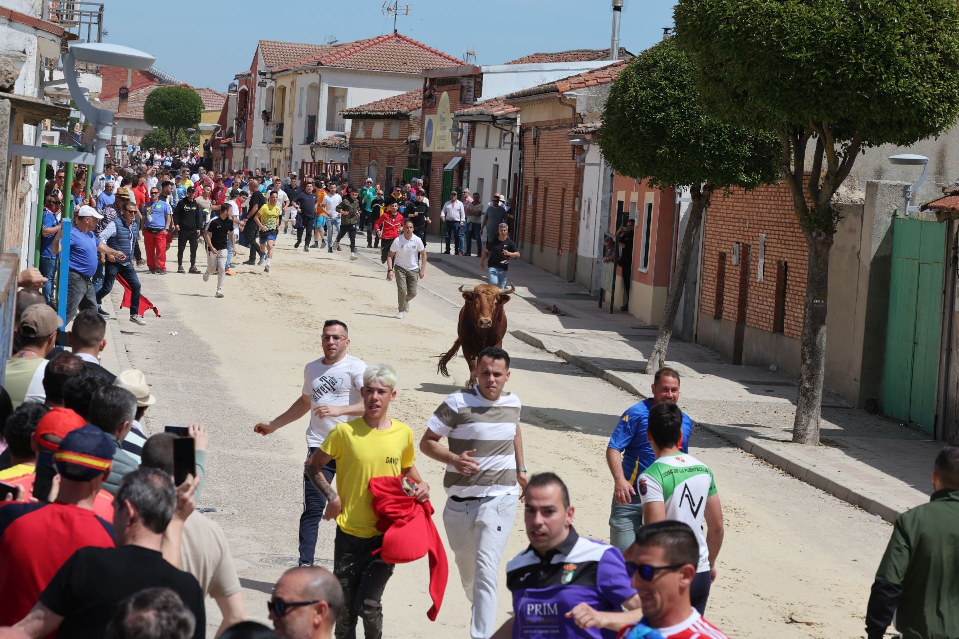 Encierro del domingo por la mañana en Valdestillas