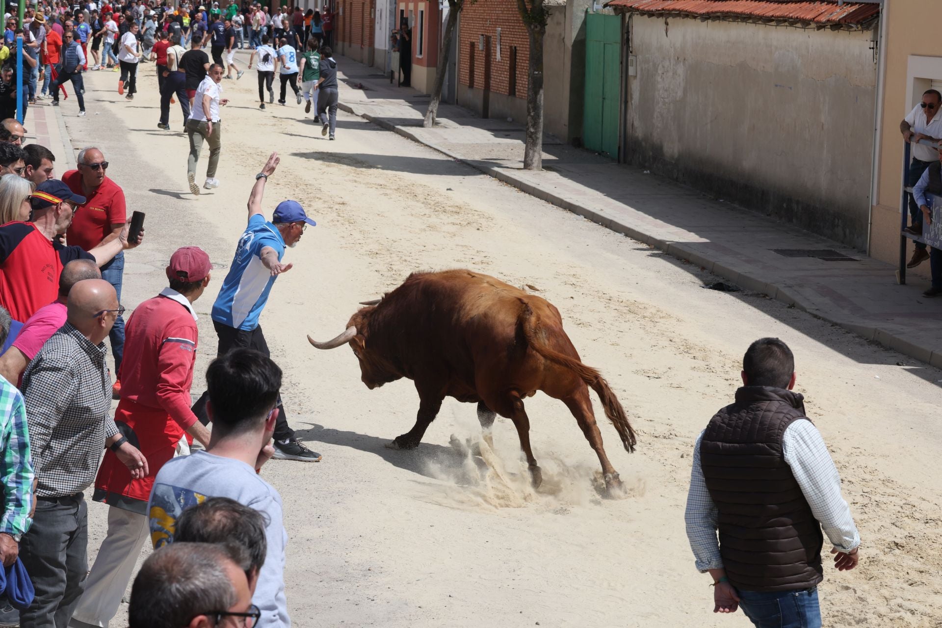 Encierro del domingo por la mañana en Valdestillas