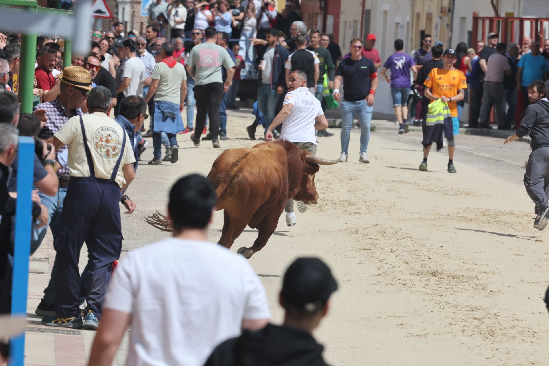 Encierro del domingo por la mañana en Valdestillas