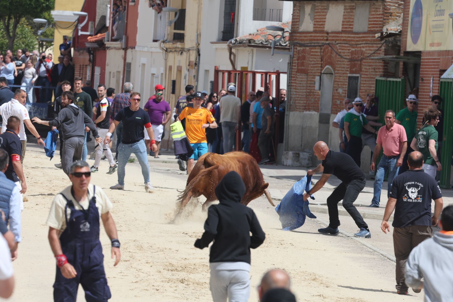 Encierro del domingo por la mañana en Valdestillas