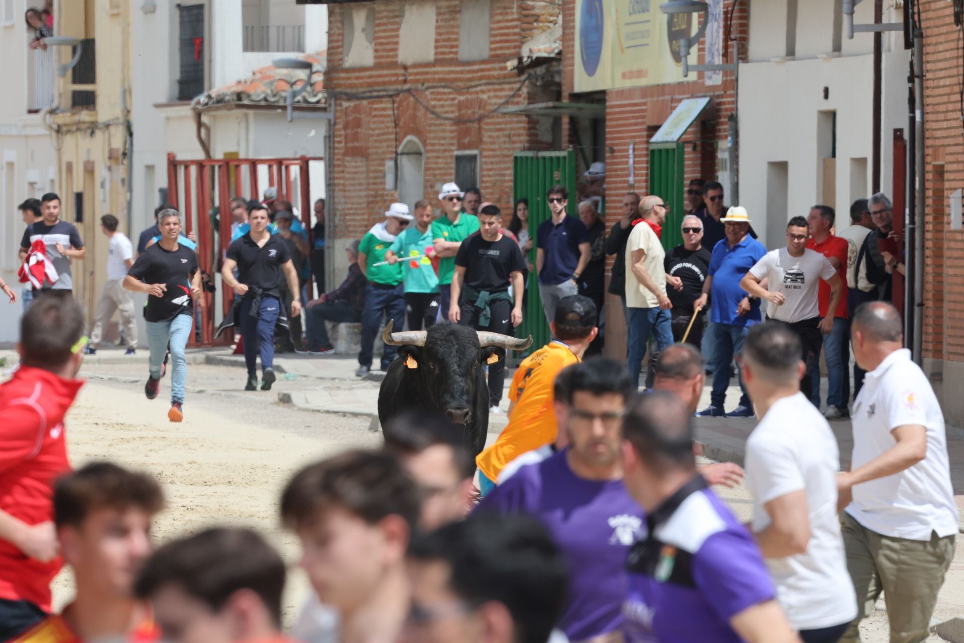 Encierro del domingo por la mañana en Valdestillas