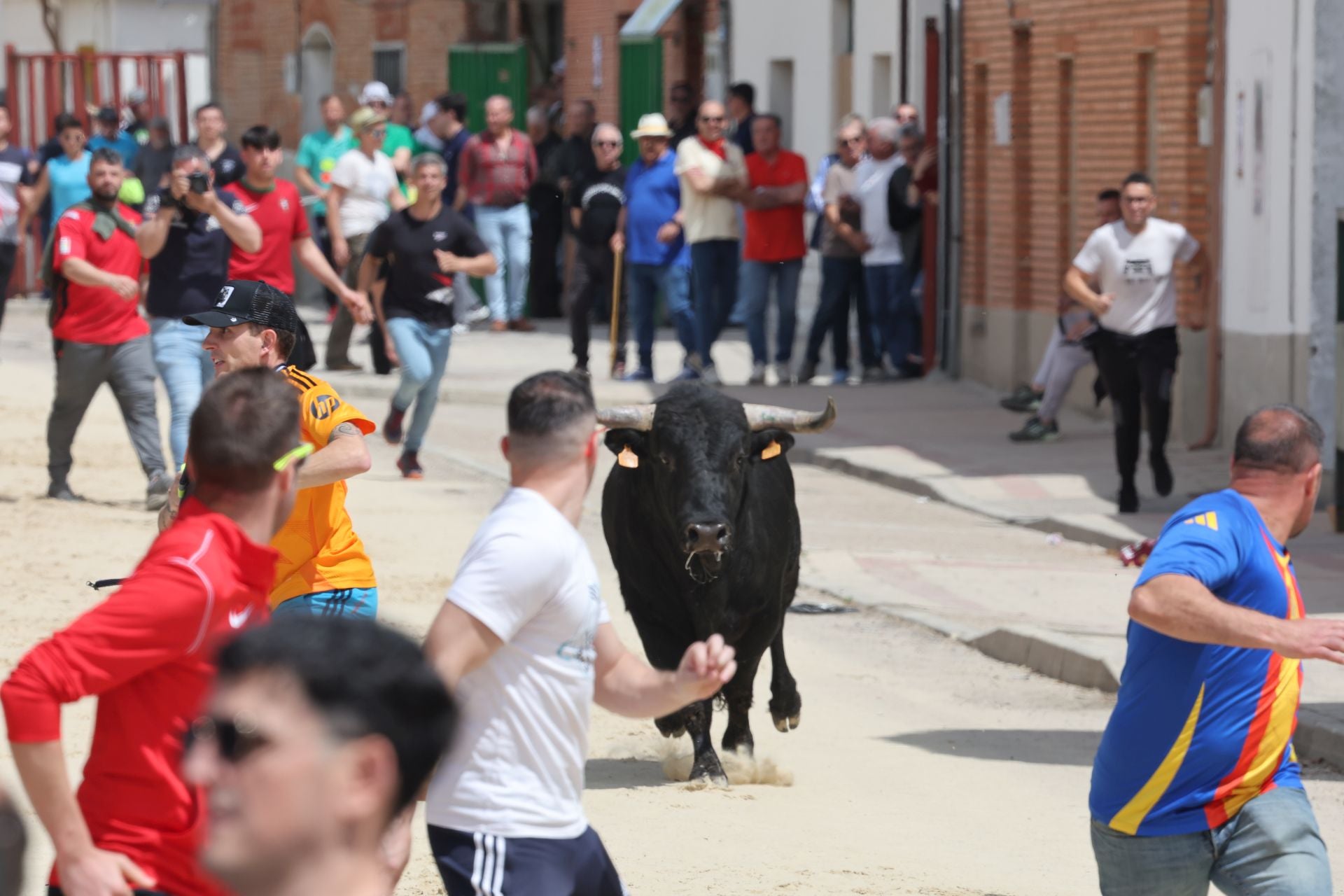 Encierro del domingo por la mañana en Valdestillas