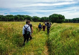 Participantes en la salida del Programa de Ecoturismo 2025 de Mojados.