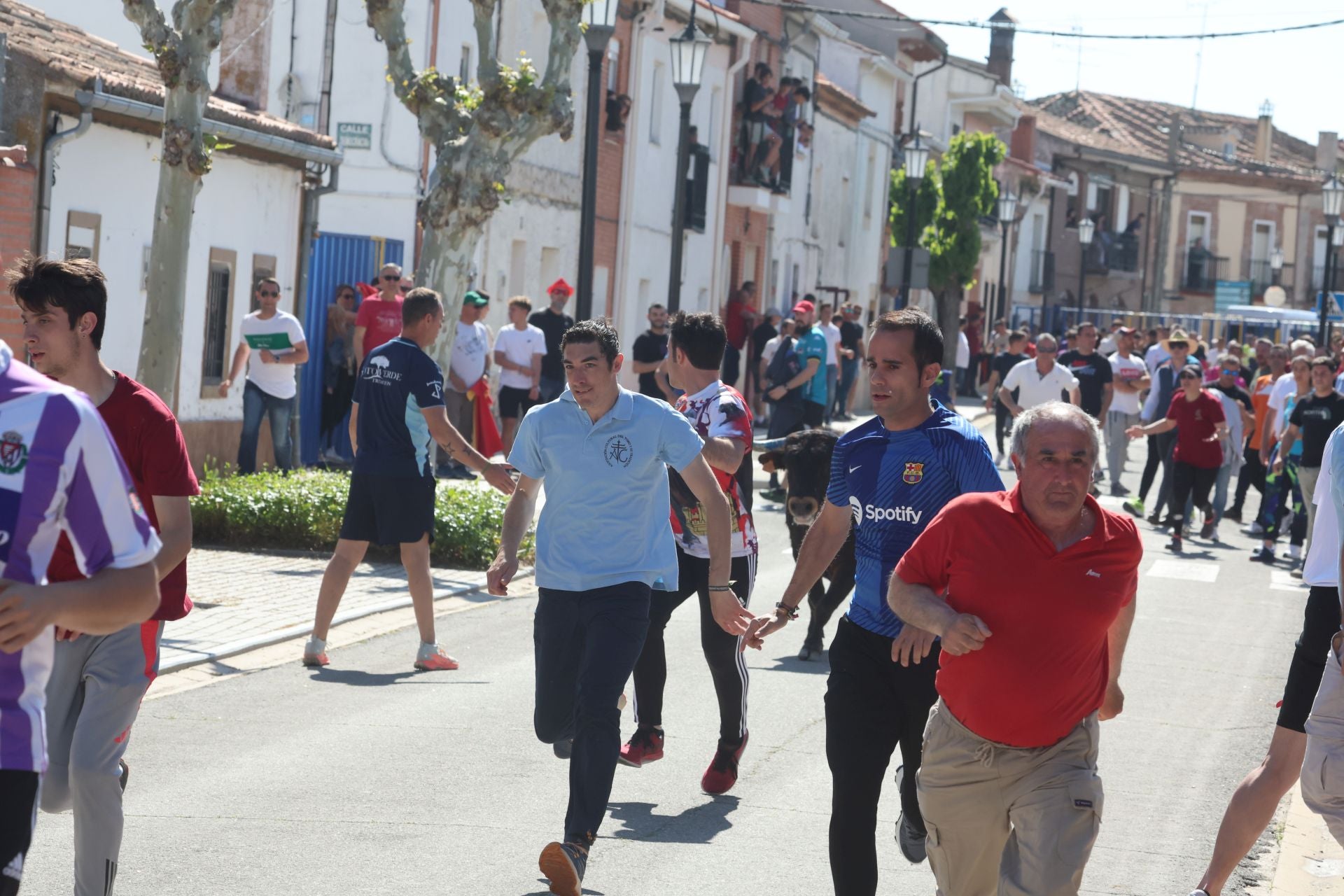Encierro matutino del domingo en Aldeamayor de San Martín