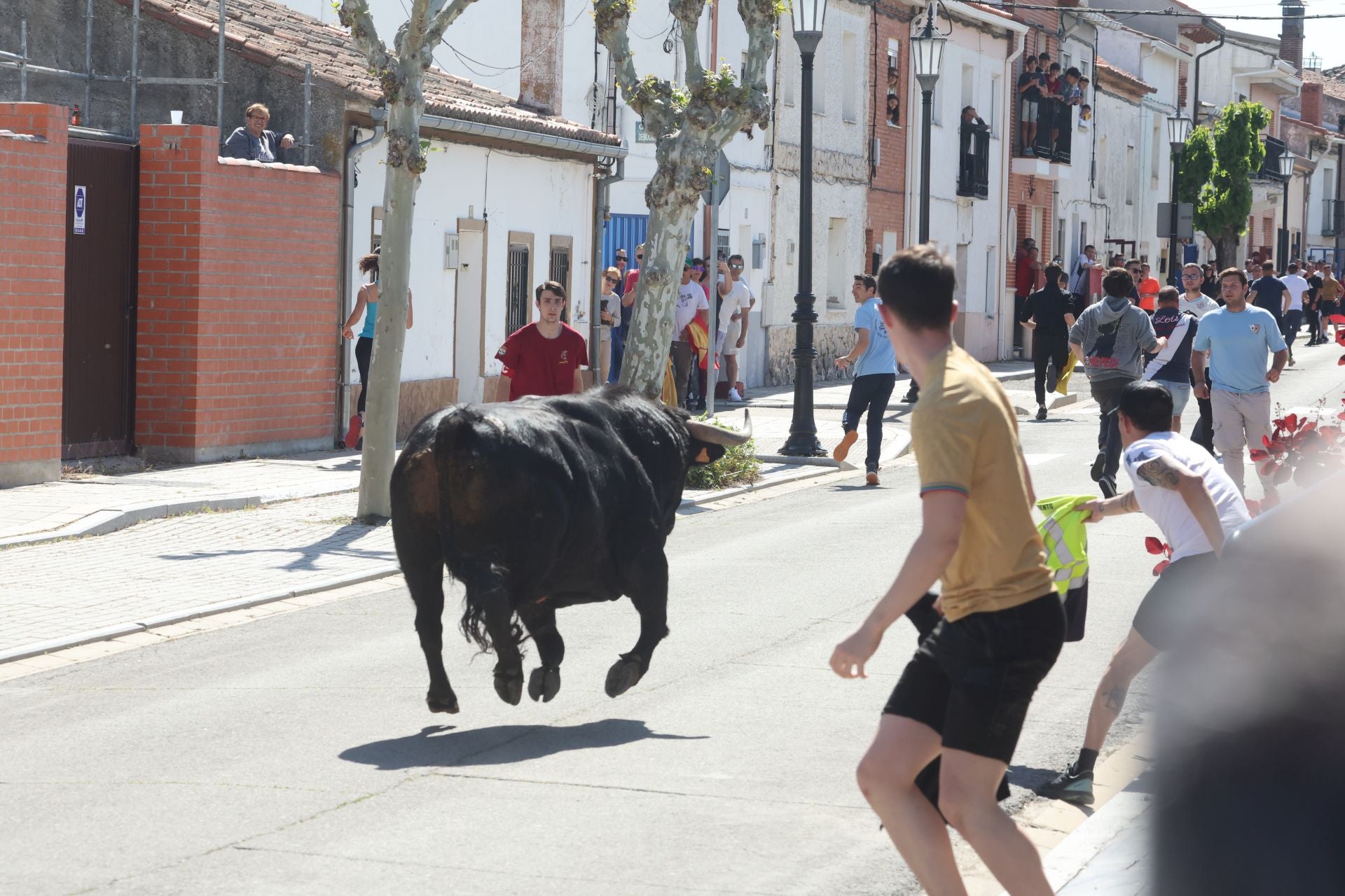 Encierro matutino del domingo en Aldeamayor de San Martín