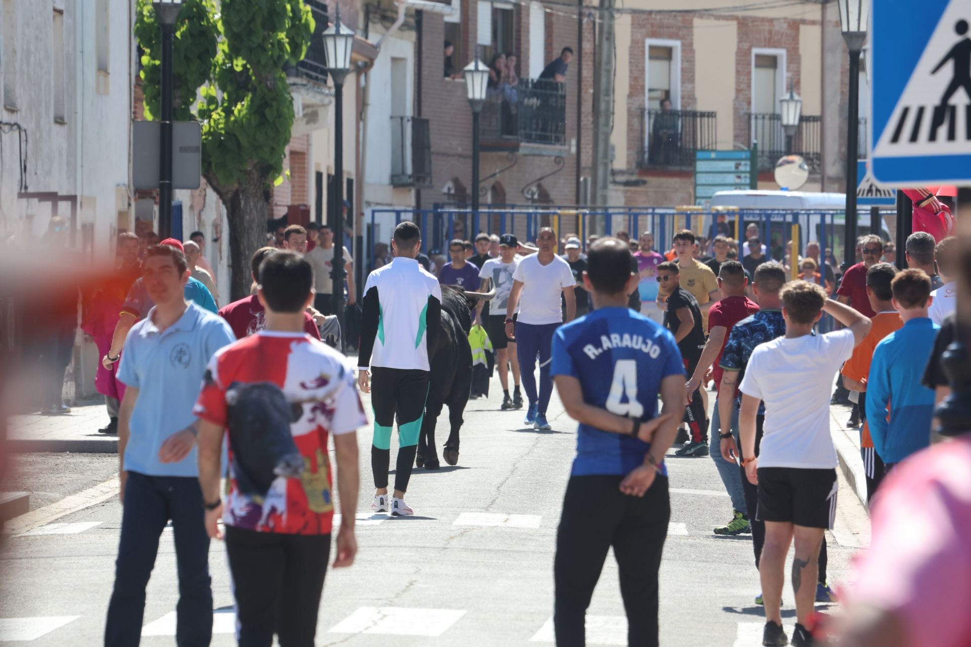 Encierro matutino del domingo en Aldeamayor de San Martín