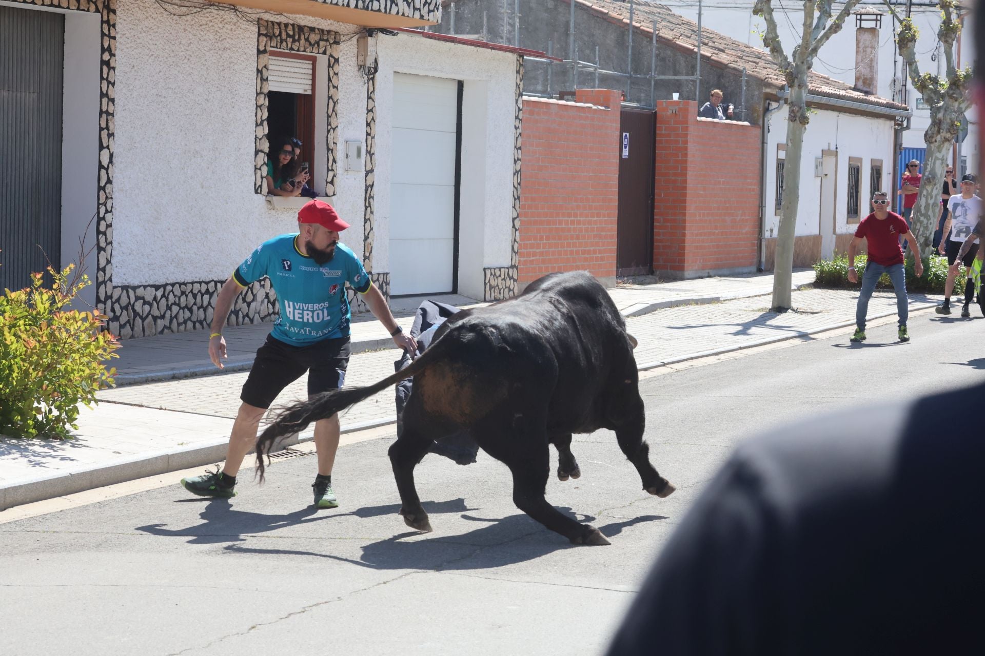 Encierro matutino del domingo en Aldeamayor de San Martín