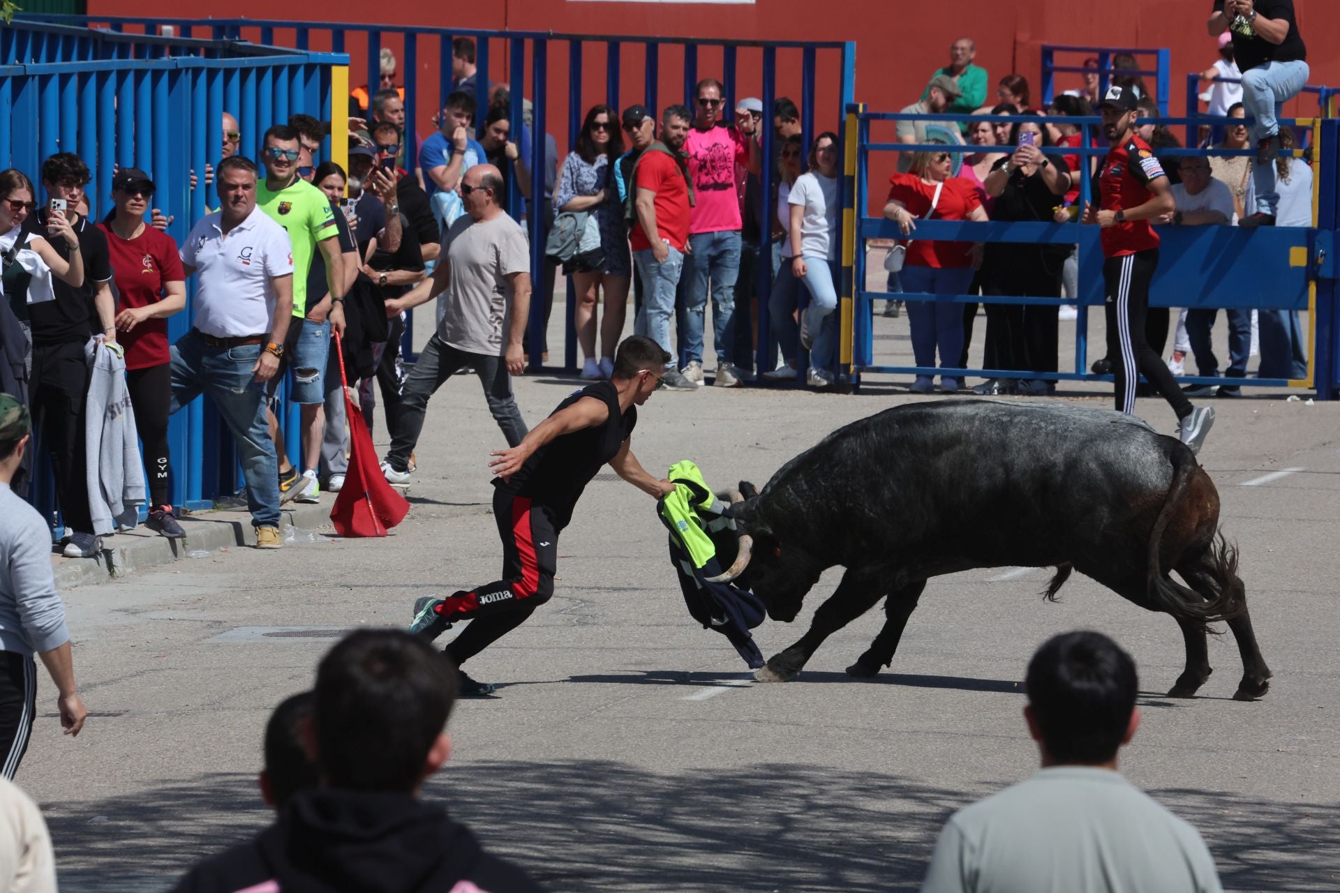 Encierro matutino del domingo en Aldeamayor de San Martín