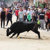 Encierro del domingo por la mañana en Valdestillas