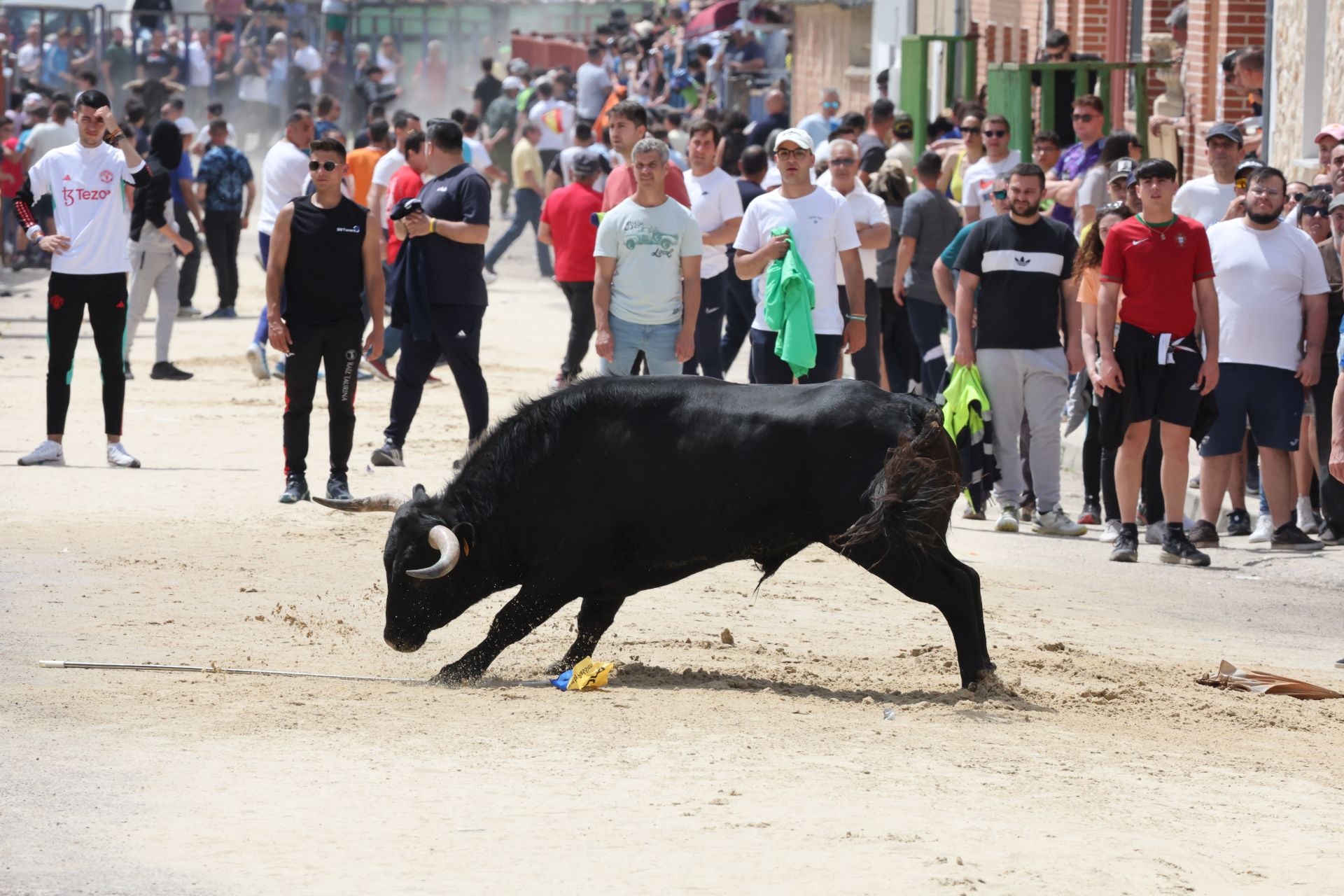 Encierro del domingo por la mañana en Valdestillas