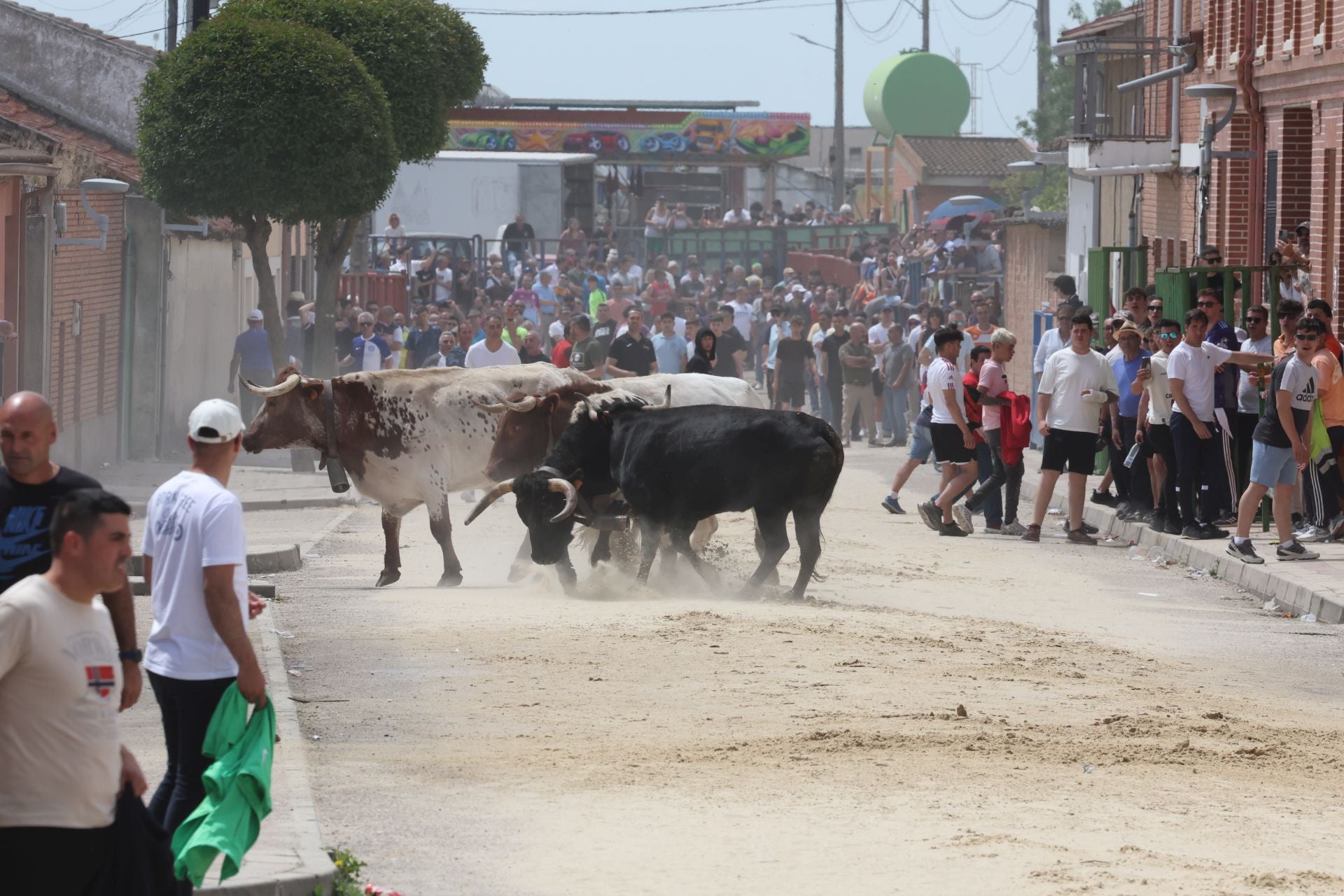 Encierro del domingo por la mañana en Valdestillas