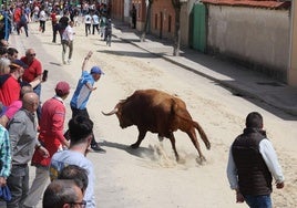 Uno de los encierros de Valdestillas de este fin de semana.