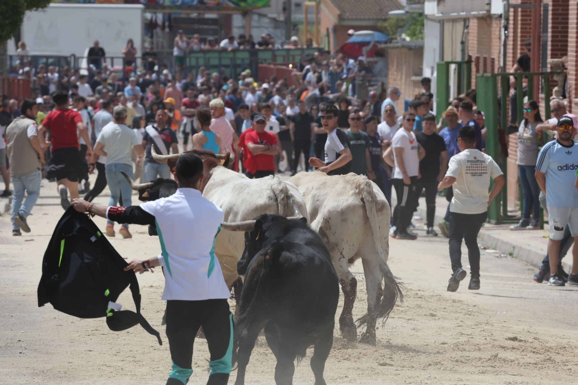 Encierro del domingo por la mañana en Valdestillas