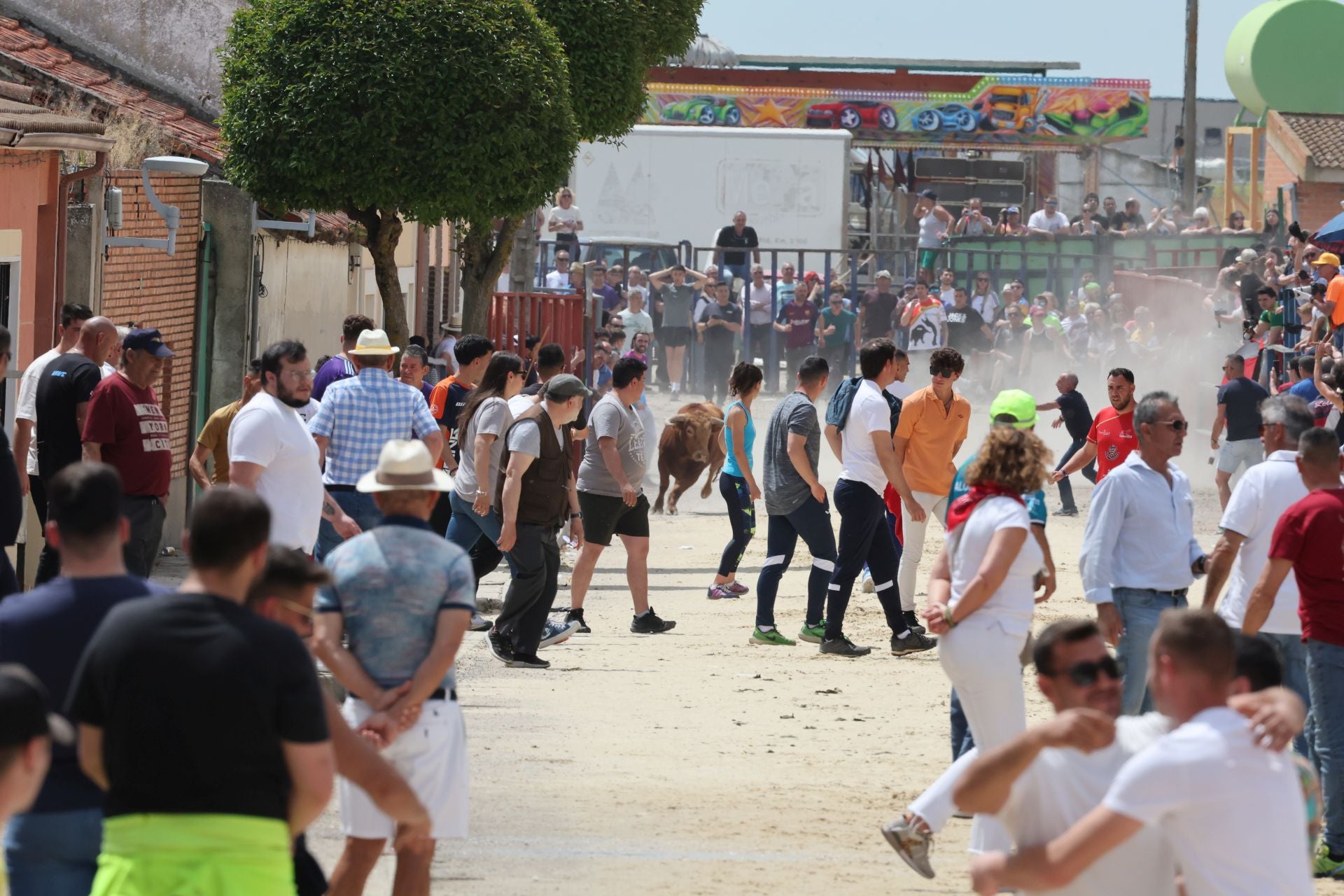 Encierro del domingo por la mañana en Valdestillas