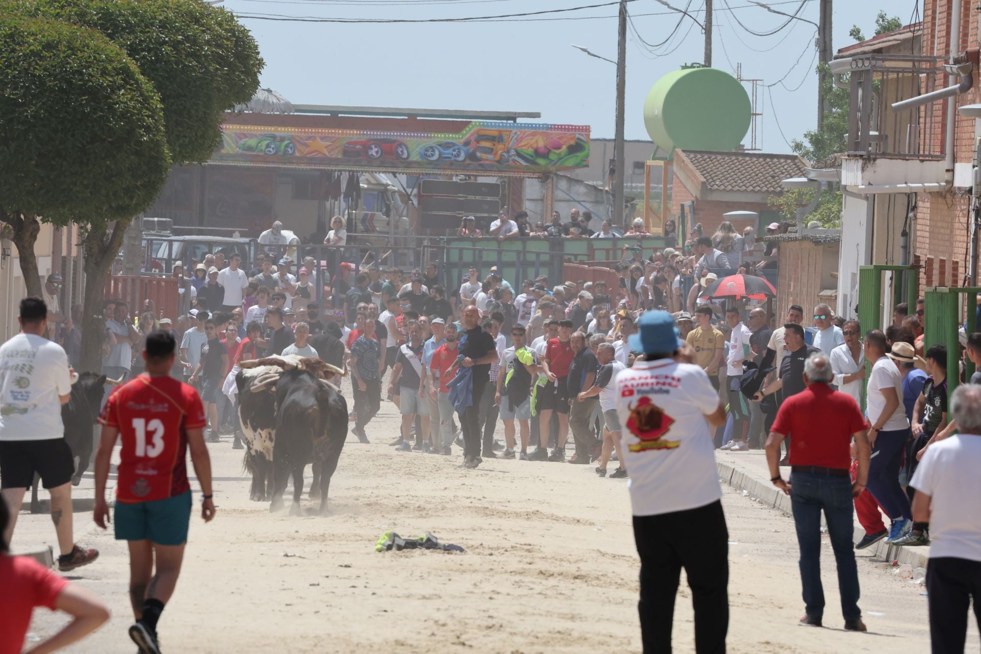 Encierro del domingo por la mañana en Valdestillas
