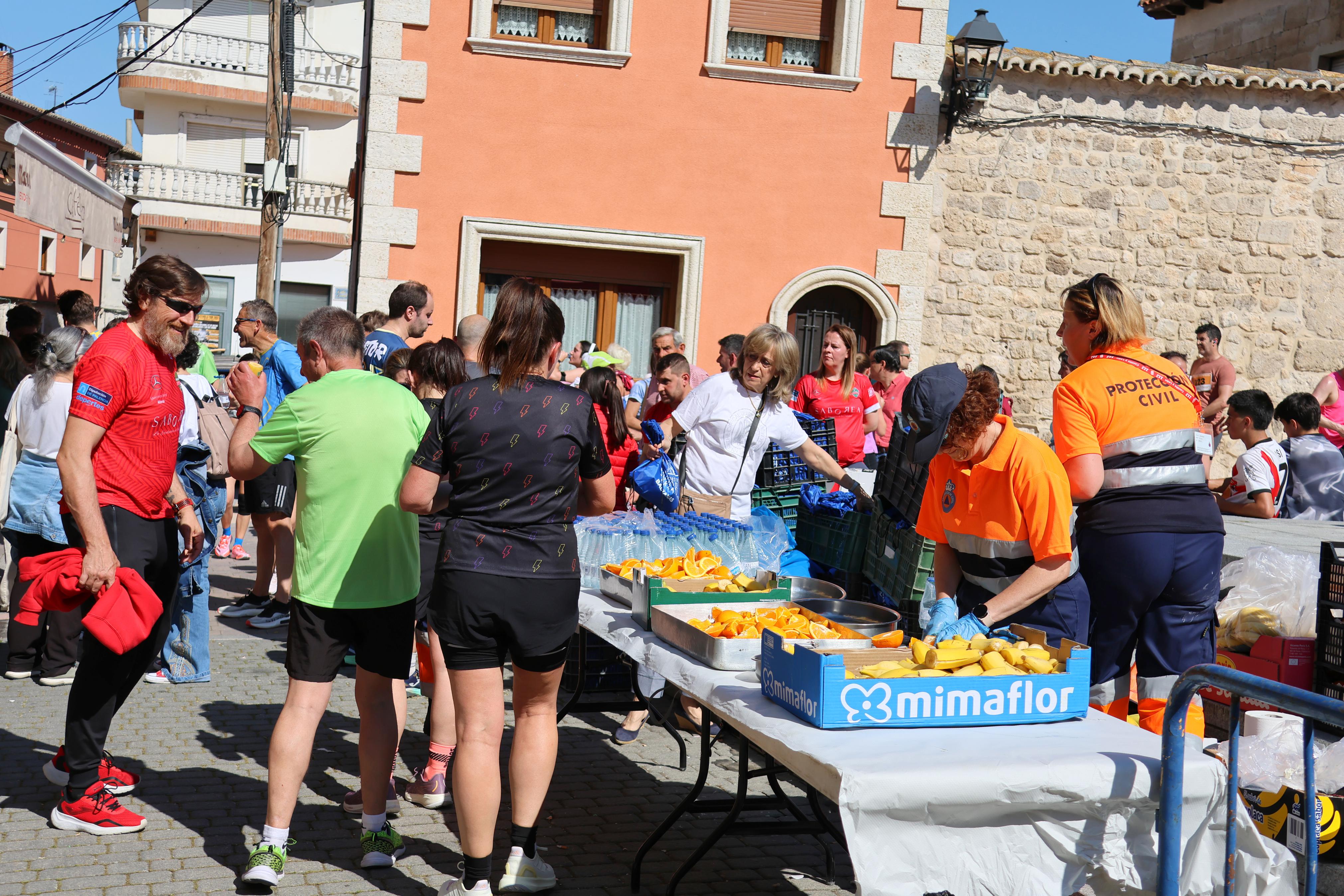 VI Legua Castellana del Cerrato