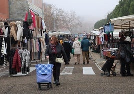 Mercadillo en Palencia.