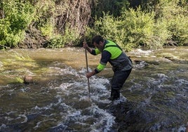 Un hombre recoge muestras en un río para su posterior análisis.