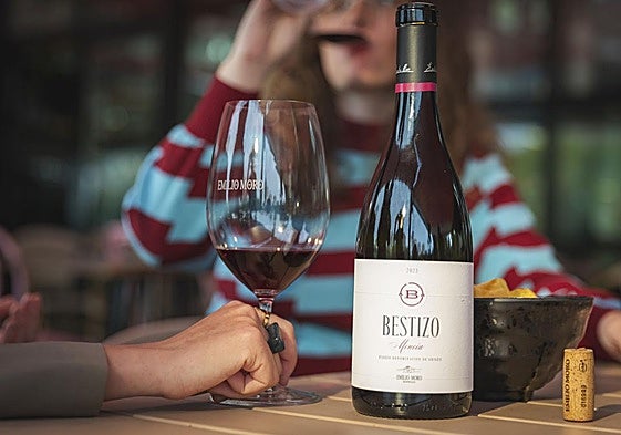Bestizo, el primer Mencía de Bodegas Emilio Moro.