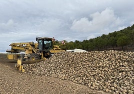 Un cargador de remolacha, en una imagen de archivo.