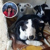 Las tres galgas robadas y la presidenta de la asociación en Defensa de los Animales.