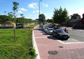 Tramo inicial de la calle Valle de Arán (desde el Esgueva) recién adoquinado, ya sin el arbolado, y jardines al lado en el que han respuesto algunos ejemplares fuera de la acera.