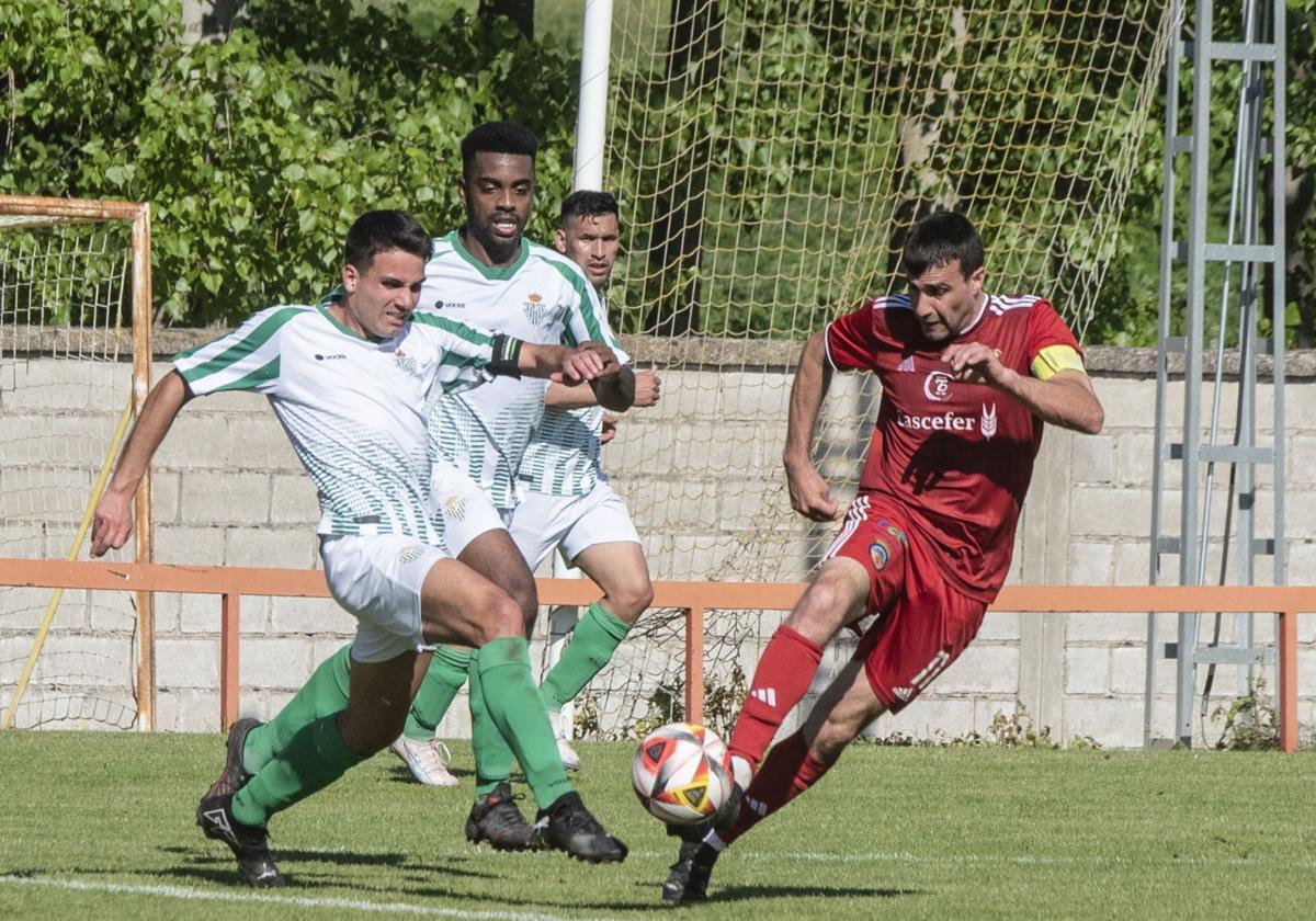 Un jugador del Betis trata de robar el esférico a un rival del Turégano la pasada semana.