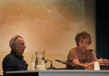 El lobo ha perdido dos tercios de su distribución histórica en España