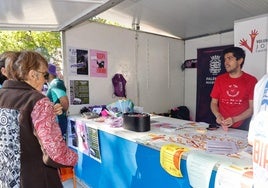 Creatividad y diversidad en el centro de Palencia