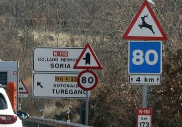 Los animales provocan un accidente de tráfico cada 45 minutos en Castilla y León