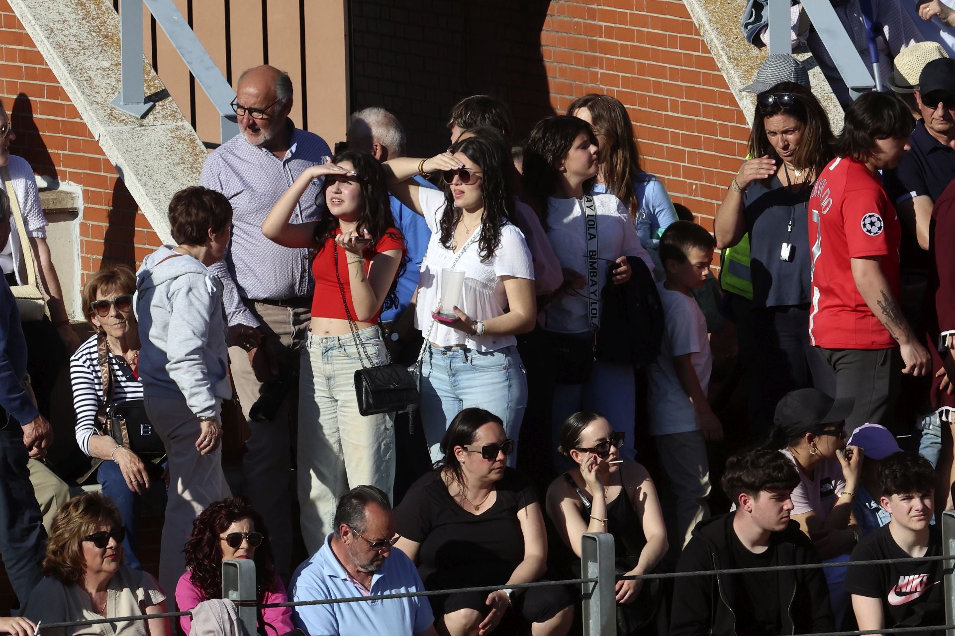 La suelta de toros de Nava del Rey, en imágenes