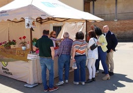 Feria de la Tradición de Cisneros, en imágenes