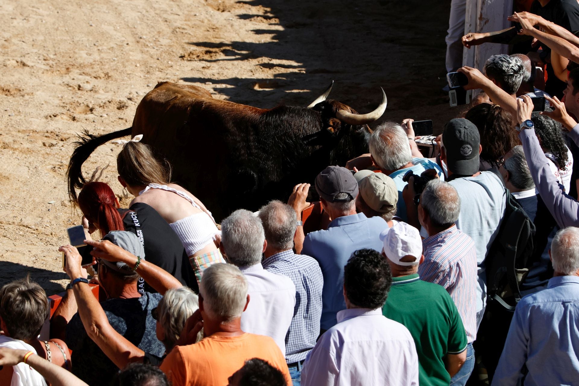 El encierro y la capea de Peñafiel, en imágenes
