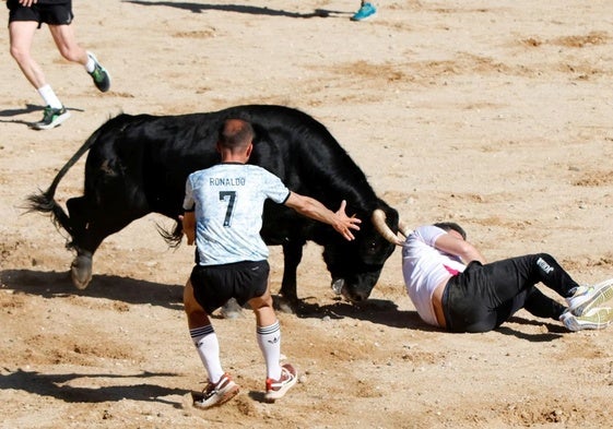 Uno de los recortadores resulta embestido por el toro en Peñafiel.