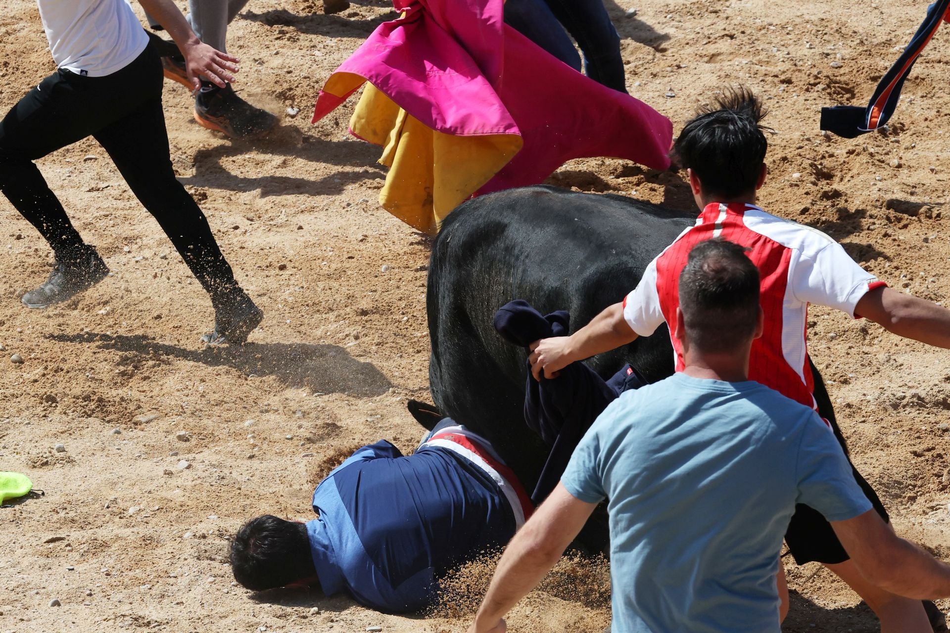 Las imágenes del encierro y capea de este domingo en Peñafiel
